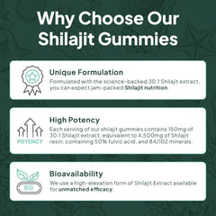 Organics Ocean Shilajit Gummies with vitamin B12 in a resealable package.