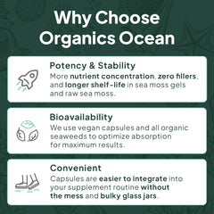 Ingredients chart; 84 minerals and organic nutrients in each serving
