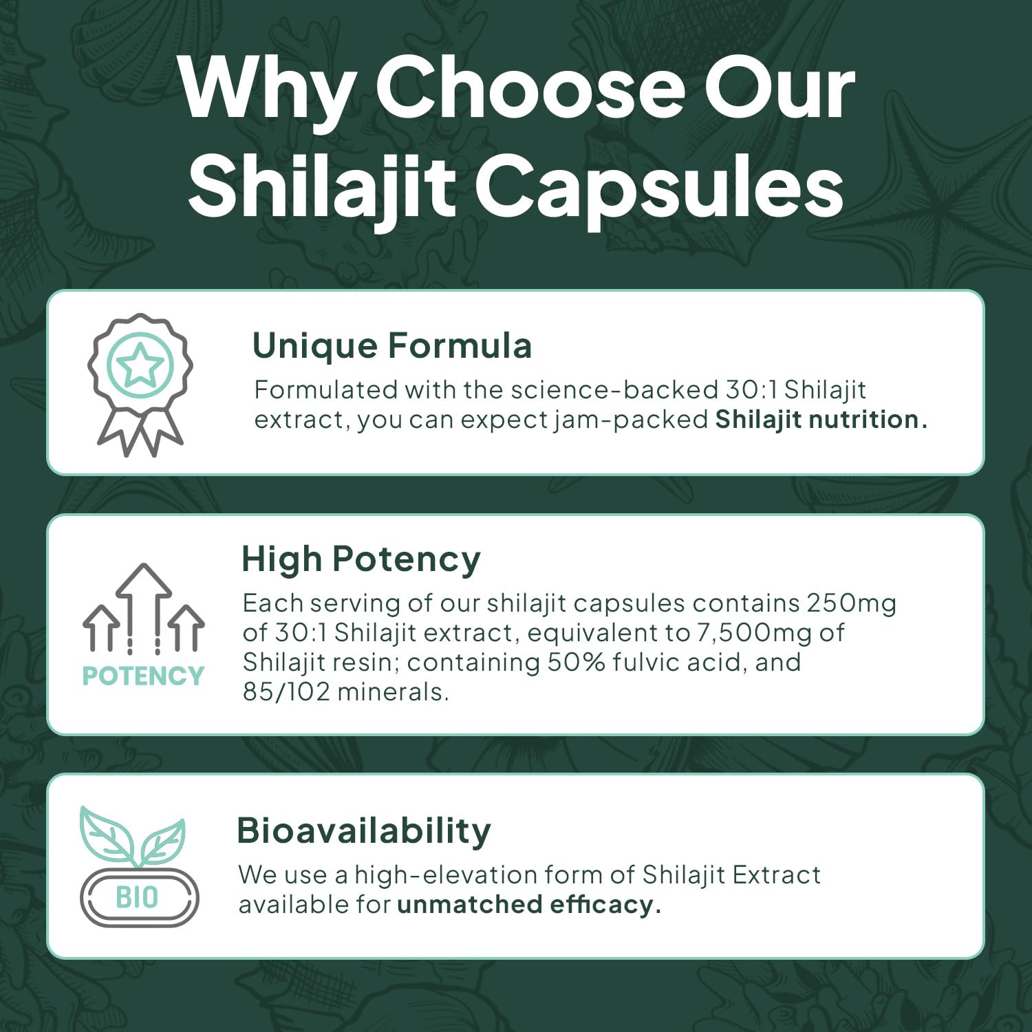 Organics Ocean Vegetarian capsule design for vegan supplement users