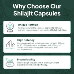Organics Ocean Vegetarian capsule design for vegan supplement users
