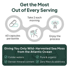 Organics Ocean vitamin D3 capsule visual, suggesting immune and energy support.