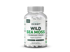 Organics Ocean Wild Sea Moss Capsules bottle for daily wellness.