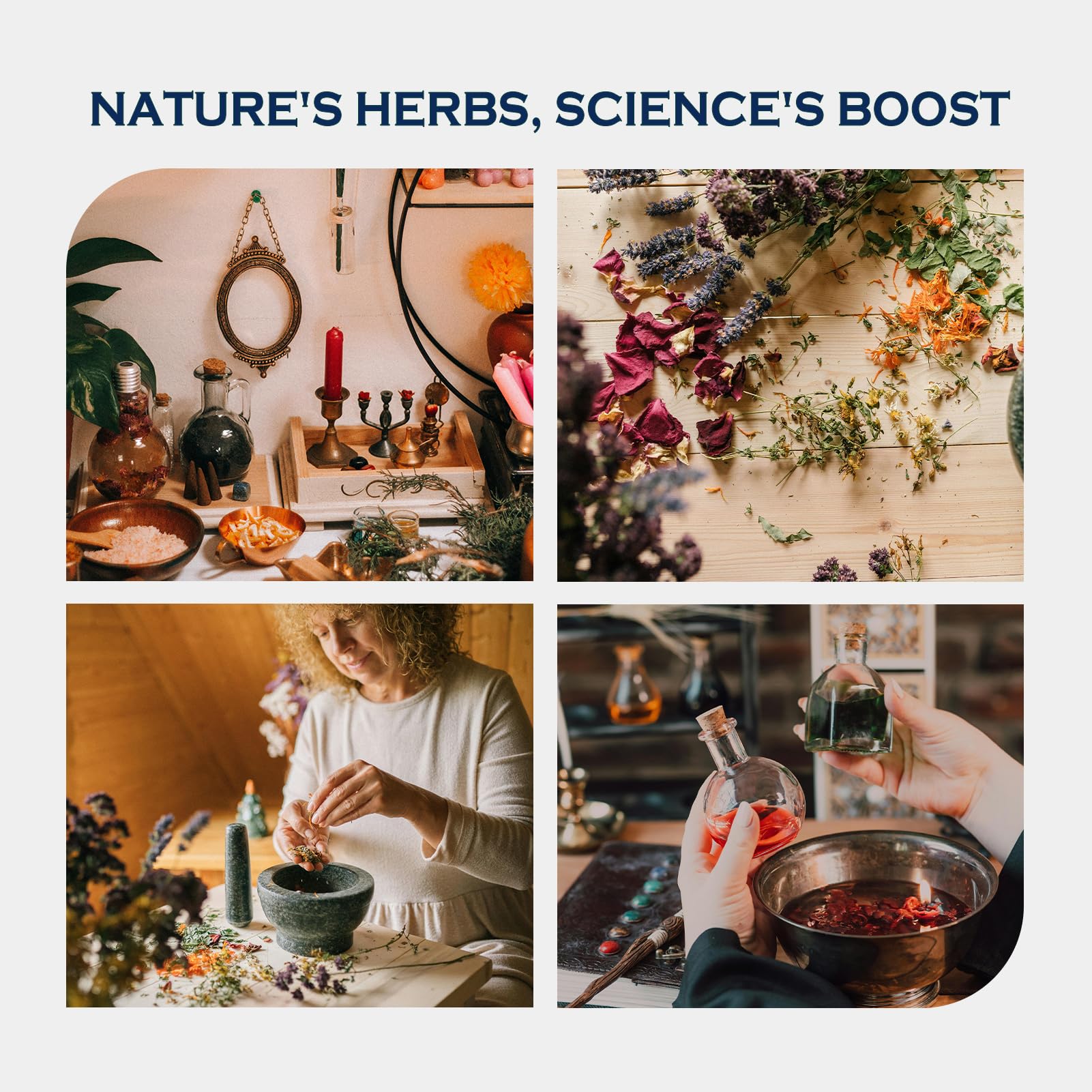 ORGANIHERBENCE astragalus focus implies resilience and immune-friendly use
