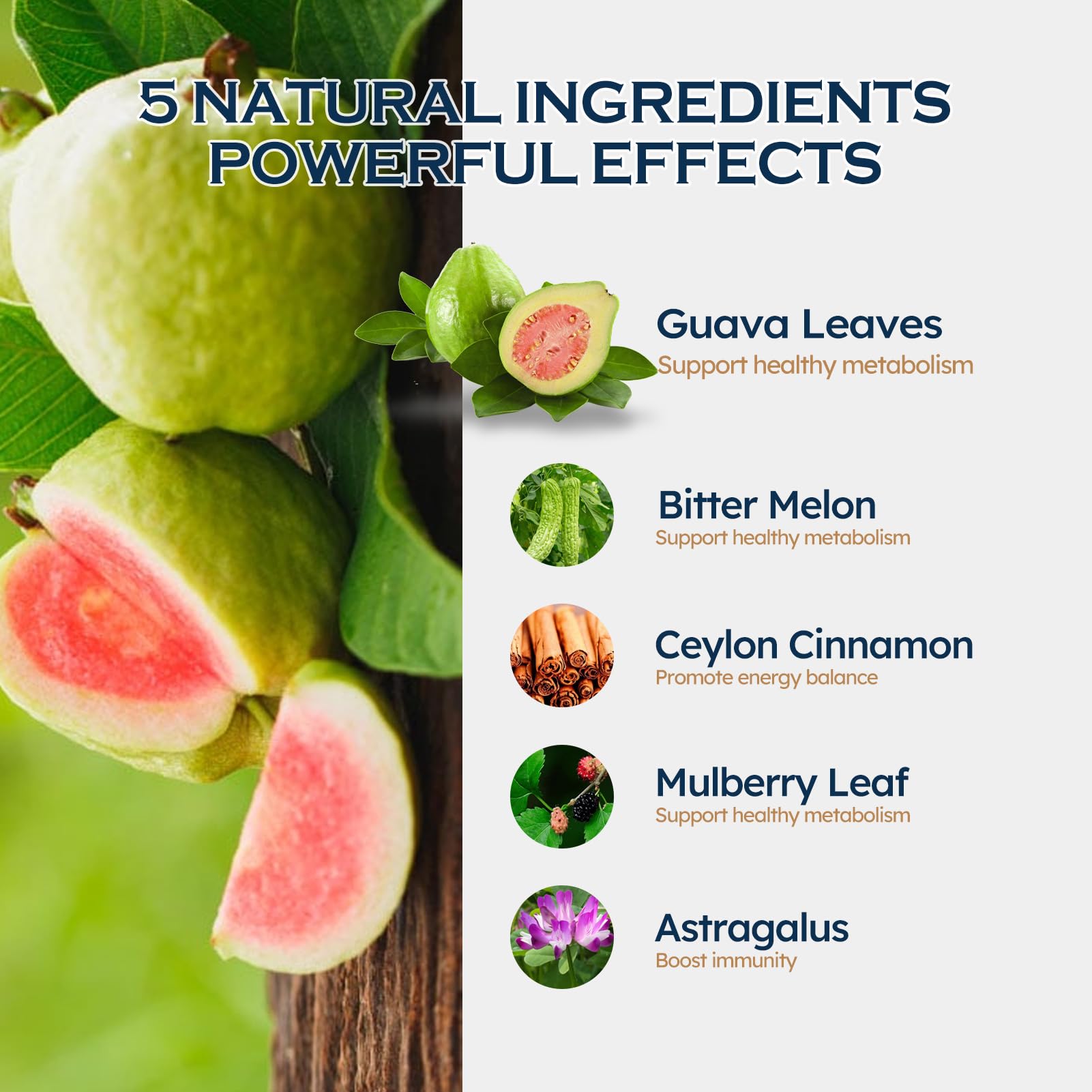 ORGANIHERBENCE bitter melon in focus signals energy balance possibilities