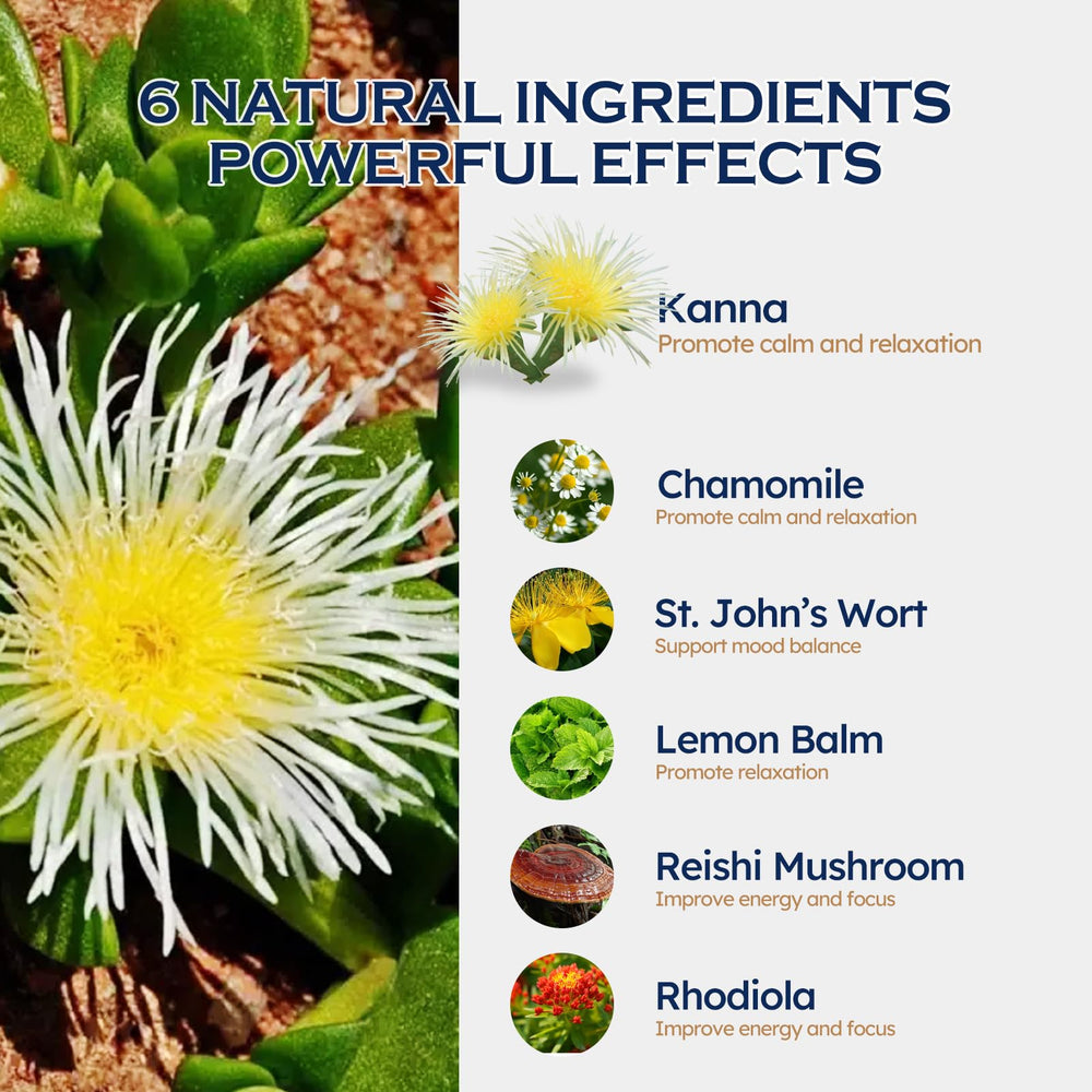 ORGANIHERBENCE kanna relaxation drops label close-up highlighting the calming blend.