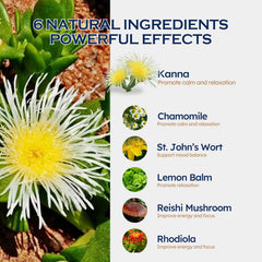 ORGANIHERBENCE kanna relaxation drops label close-up highlighting the calming blend.
