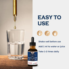 ORGANIHERBENCE mulberry leaf visual hints at daily nutrition support