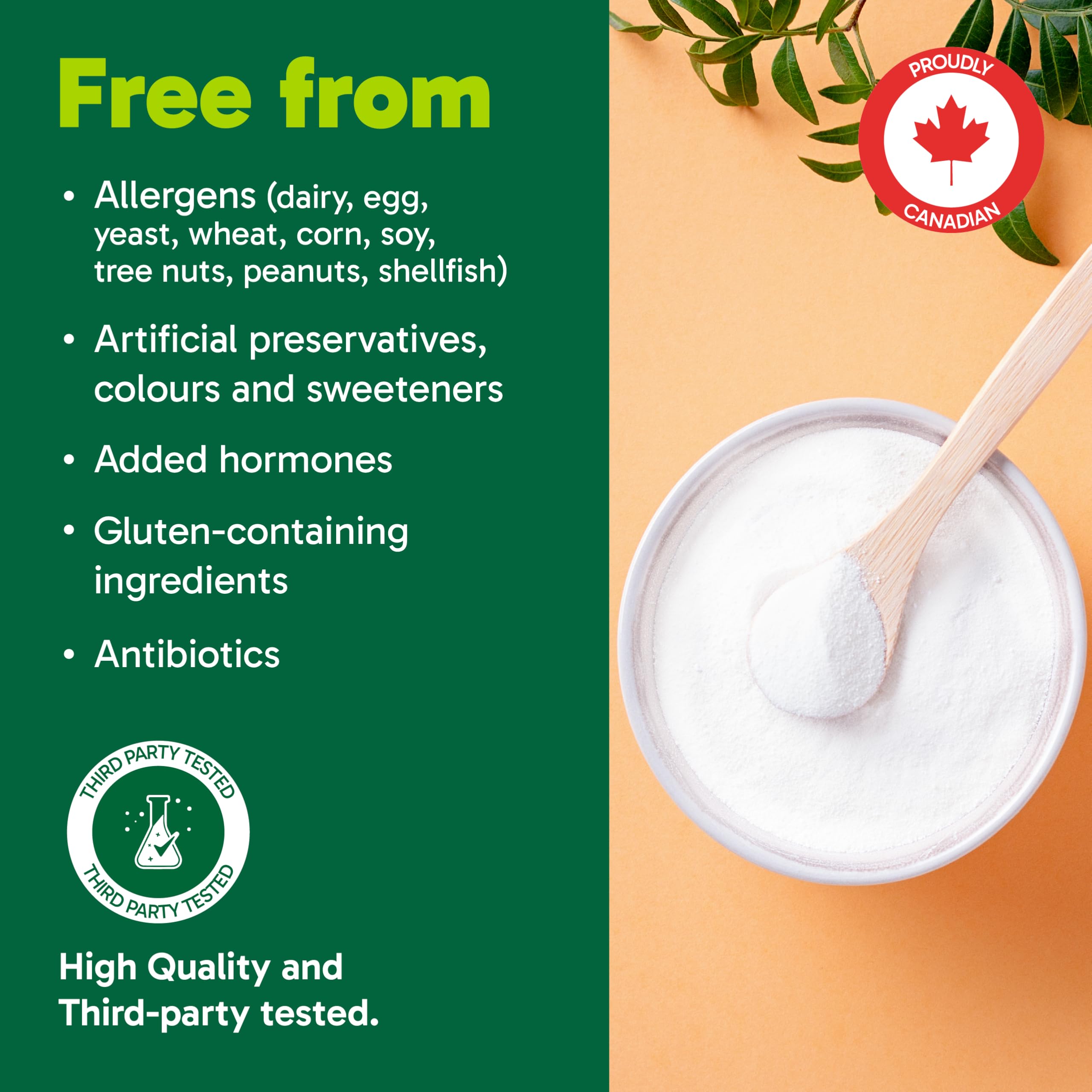 Organika Enhanced Collagen Sleep serving size scoop highlights precise nightly dosage.