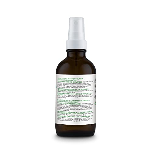 Organika Kids Zinc Spray Canadian-made, family-owned production trusted for safety.