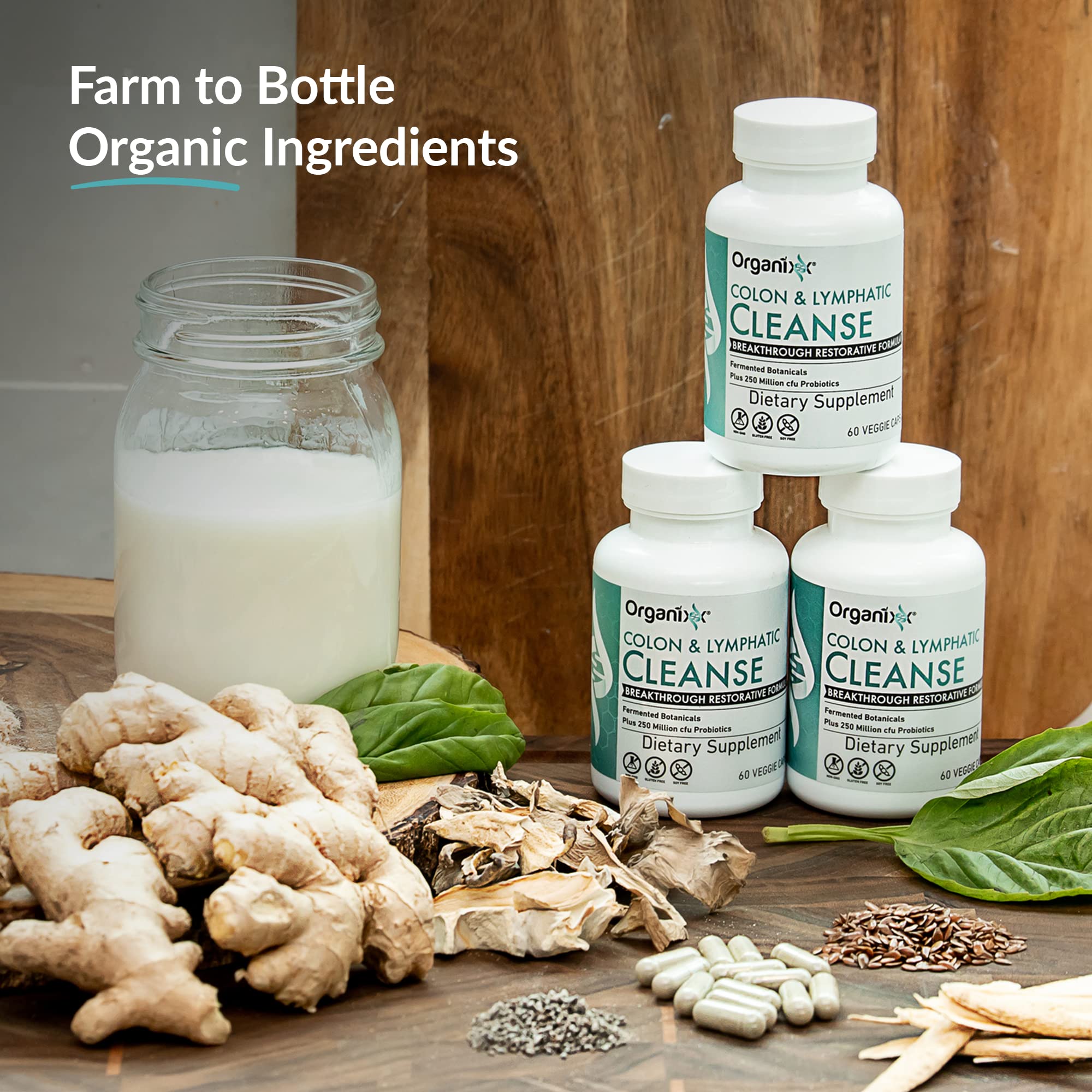 Organixx Digestive support illustration visualizes gut-friendly fermentation benefits.
