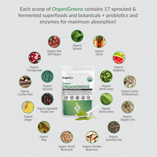 Scoop of Organixx Greens powder in a glass with a refreshing green drink