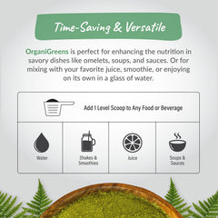 Organixx Greens in a smoothie, ready for a busy morning routine