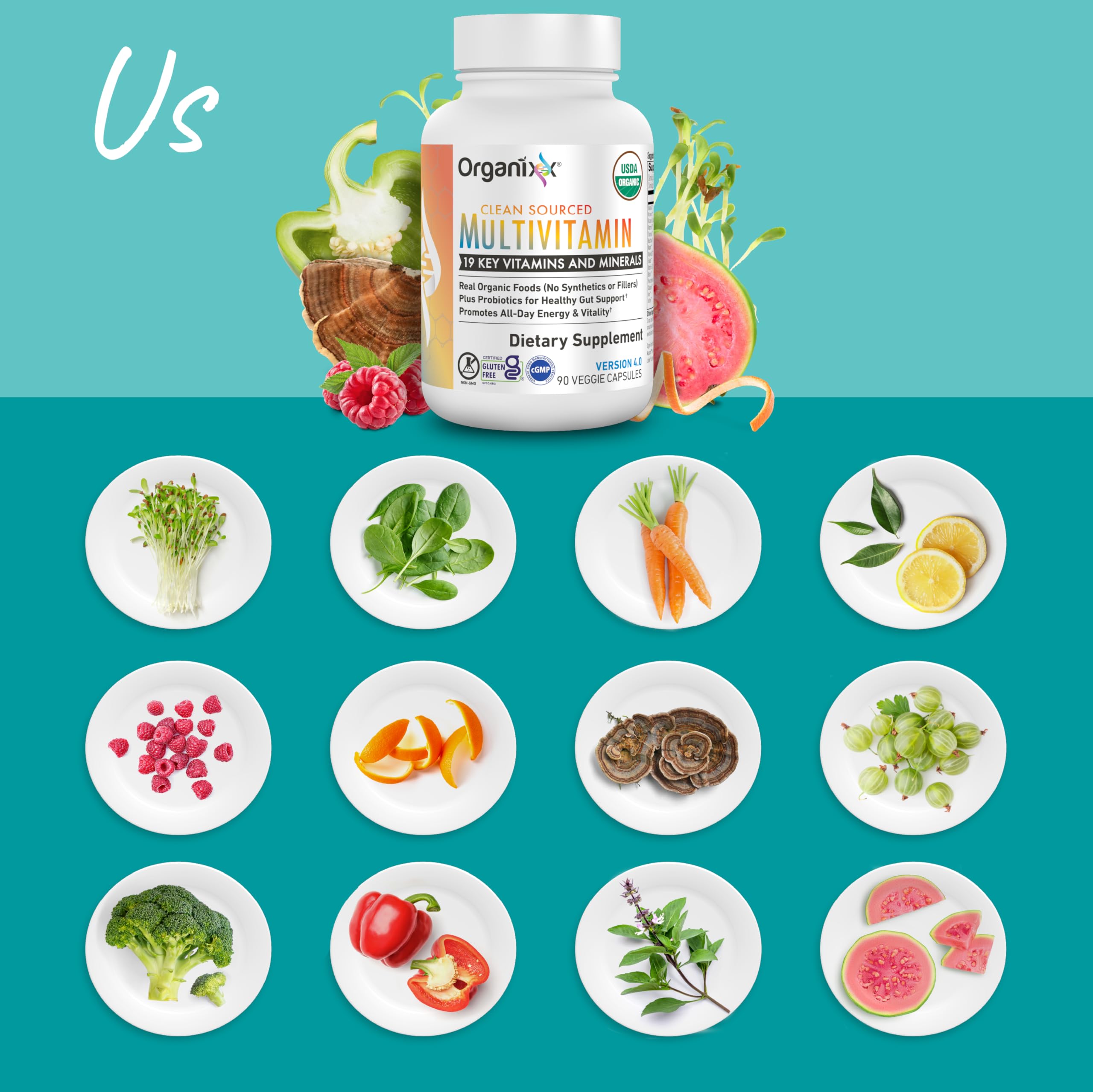 Organixx Clean Sourced Multivitamin diagram illustrating immune and digestive support
