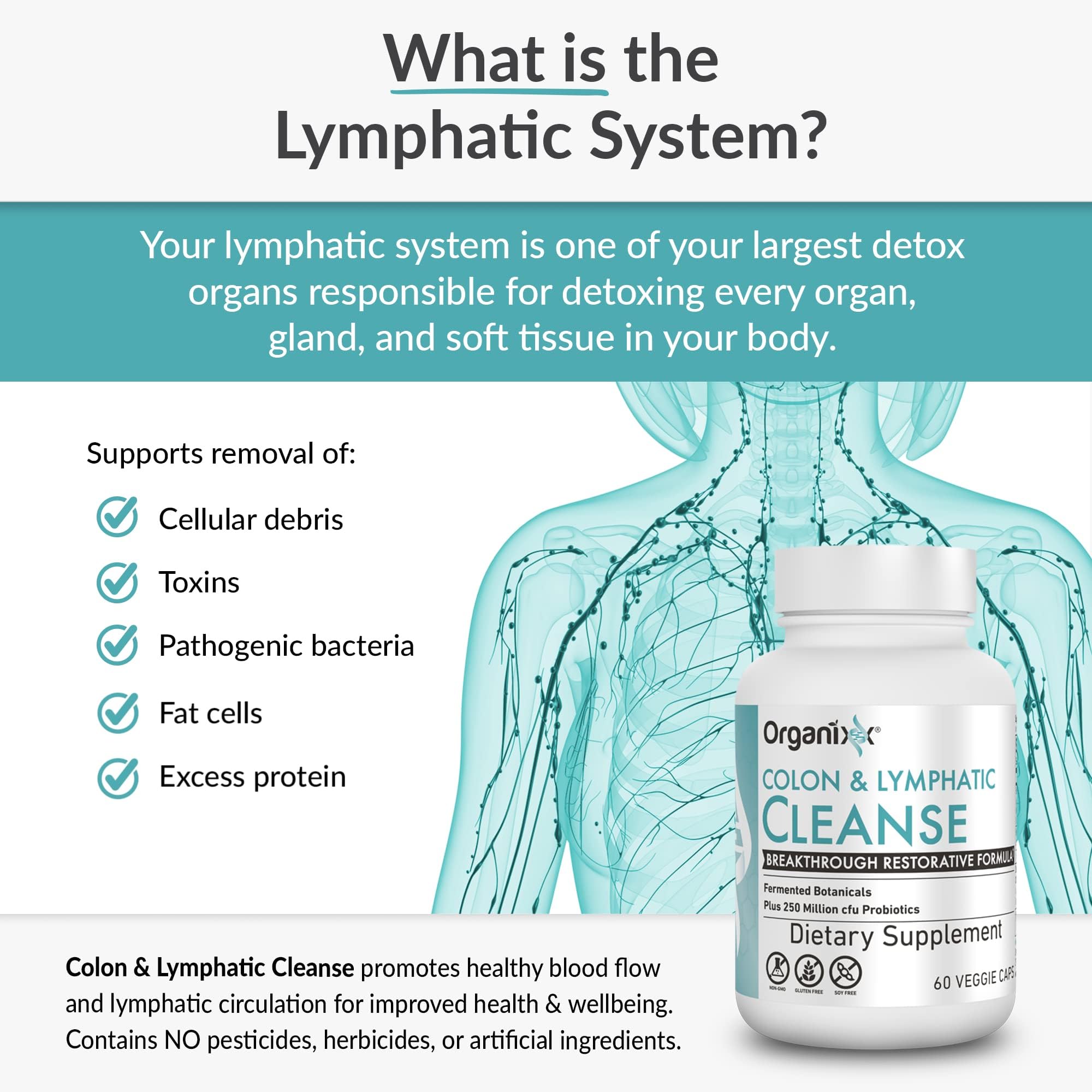 Organixx Lymphatic & Colon Cleanse probiotic icon communicates 250M CFU support for digestion.