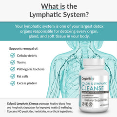 Organixx Lymphatic & Colon Cleanse probiotic icon communicates 250M CFU support for digestion.