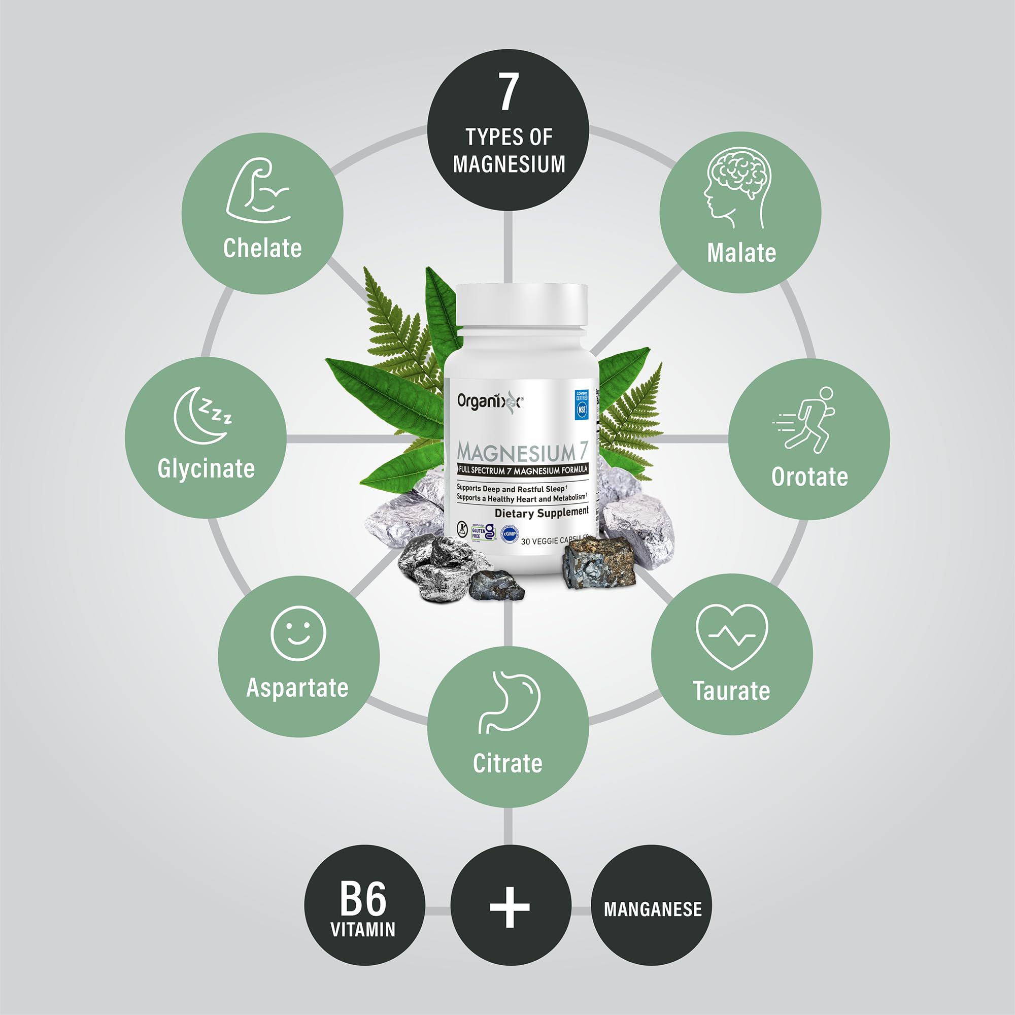 Close-up of Organixx magnesium capsules highlights the chelated, high-absorption formula.