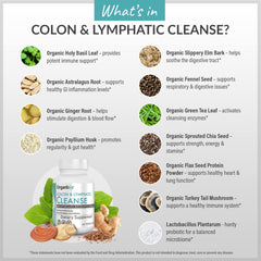 Organixx Vegetarian capsules graphic indicates plant-based delivery.