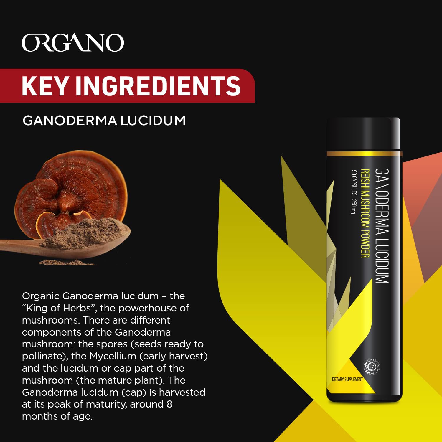 Organo OGX Ganoderma Lucidum bottle on wooden surface, premium quality packaging.