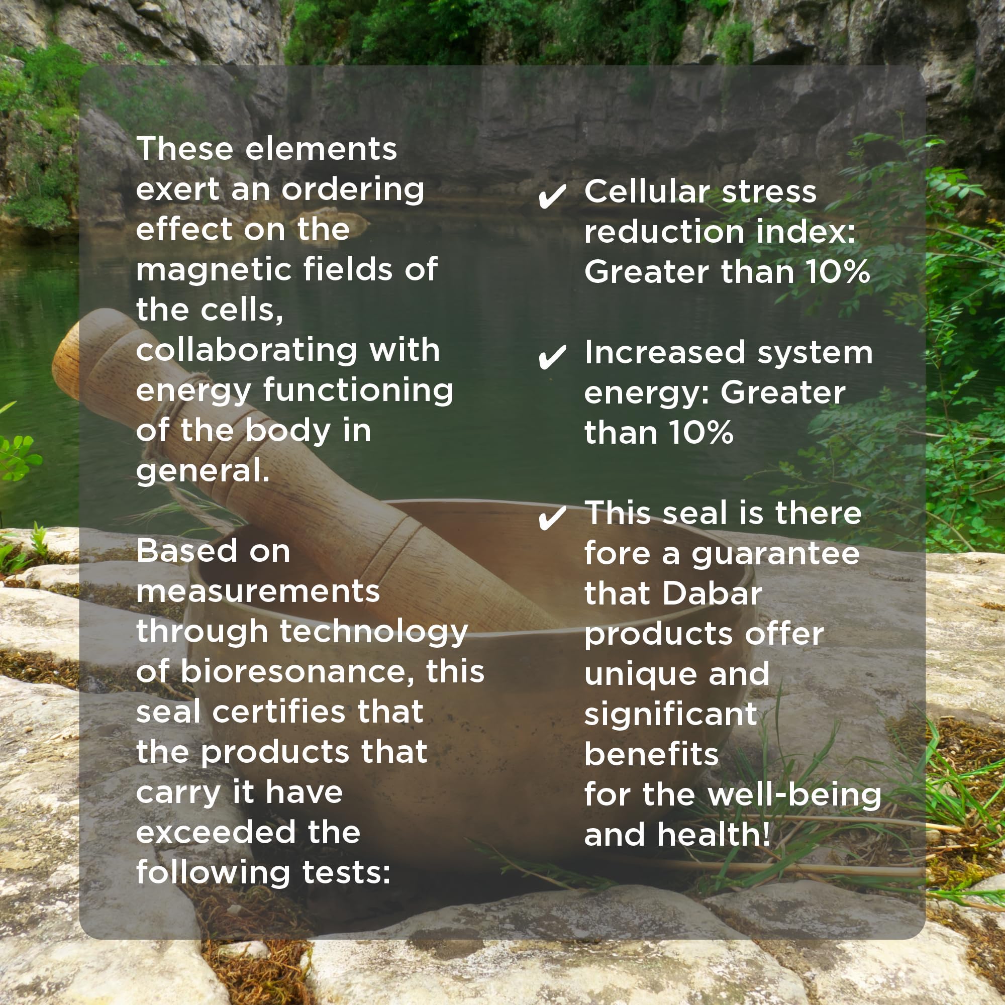 ORMUS Patagonia neural-support recovery with liquid zinc and copper cues calm focus.
