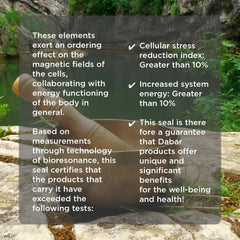 ORMUS Patagonia neural-support recovery with liquid zinc and copper cues calm focus.