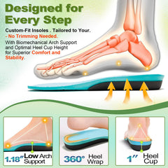 OrthoComfoot arch-support with deep heel cushions distributes pressure evenly