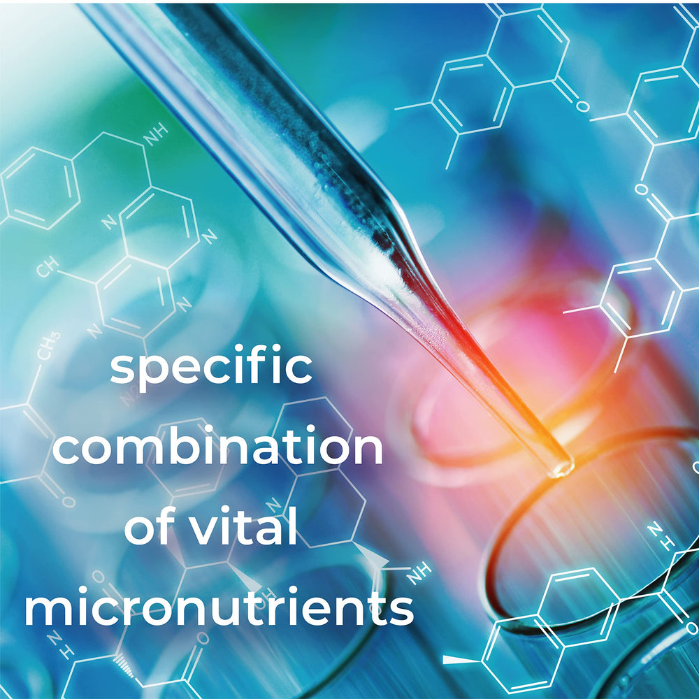 Orthomol Vision omega-3 source illustration highlighting DHA benefits