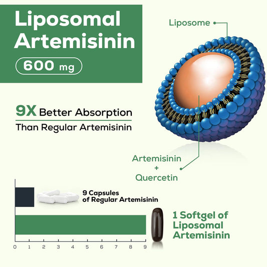 Osasuna quercetin phytosome bottle emphasizes high-bioavailability flavonoid support.