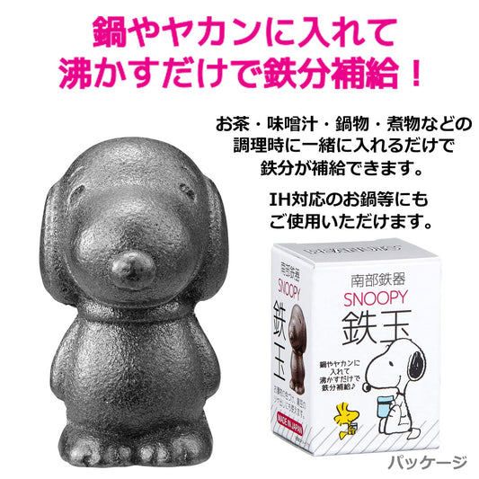 OSK TBN-1 Nambu ironware Snoopy close-up showing durable cast iron texture