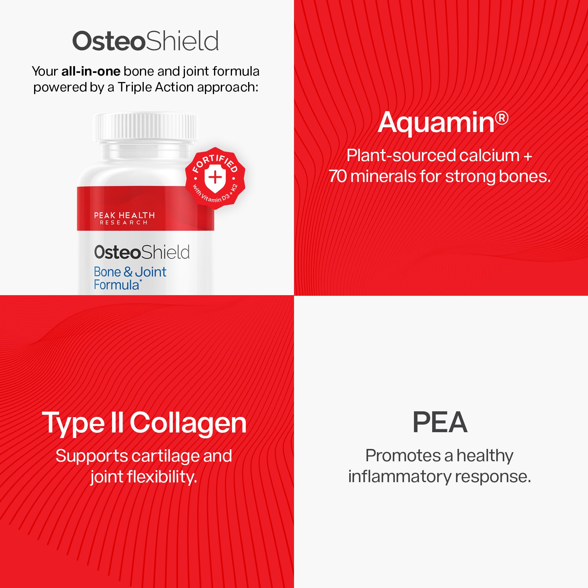 OsteoShield daily-dose bottle ready for routine use