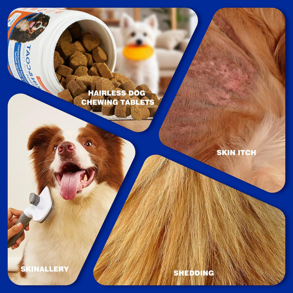 OurCares Omega-3 dog soft chews being fed for easy daily use.