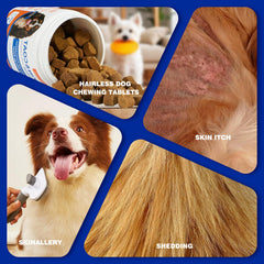 OurCares Omega-3 dog soft chews being fed for easy daily use.