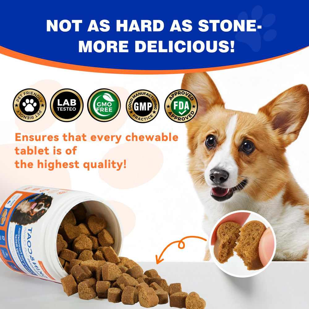 OurCares Omega-3 dog coat shine scene suggests a glossy coat.