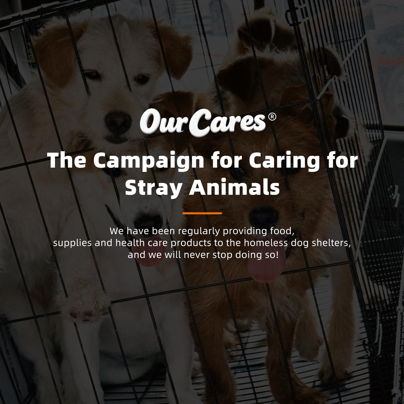 OurCares Omega-3 dog no refrigeration packaging emphasizes convenience.
