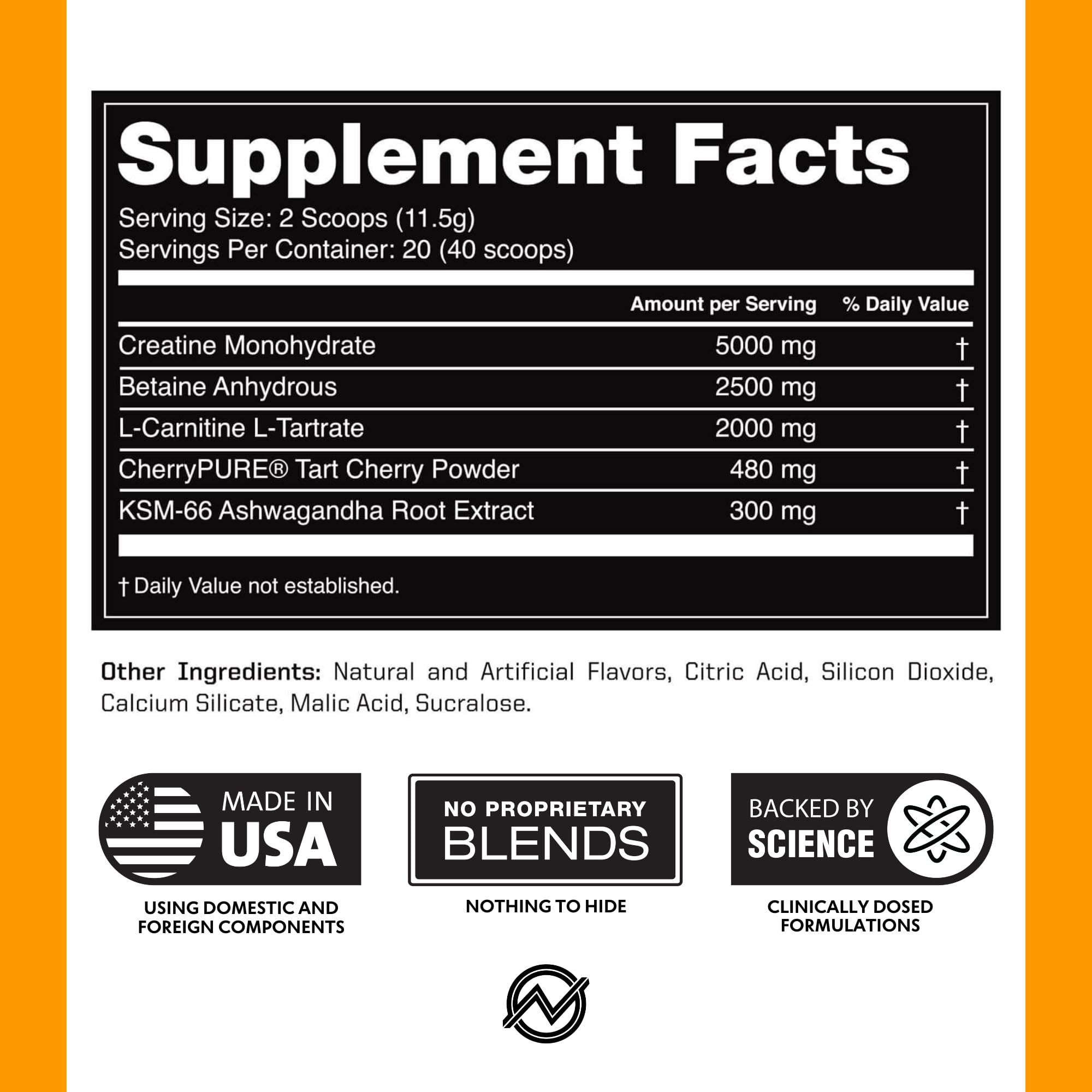 Outwork Nutrition Creatine Monohydrate powder close-up for strength support