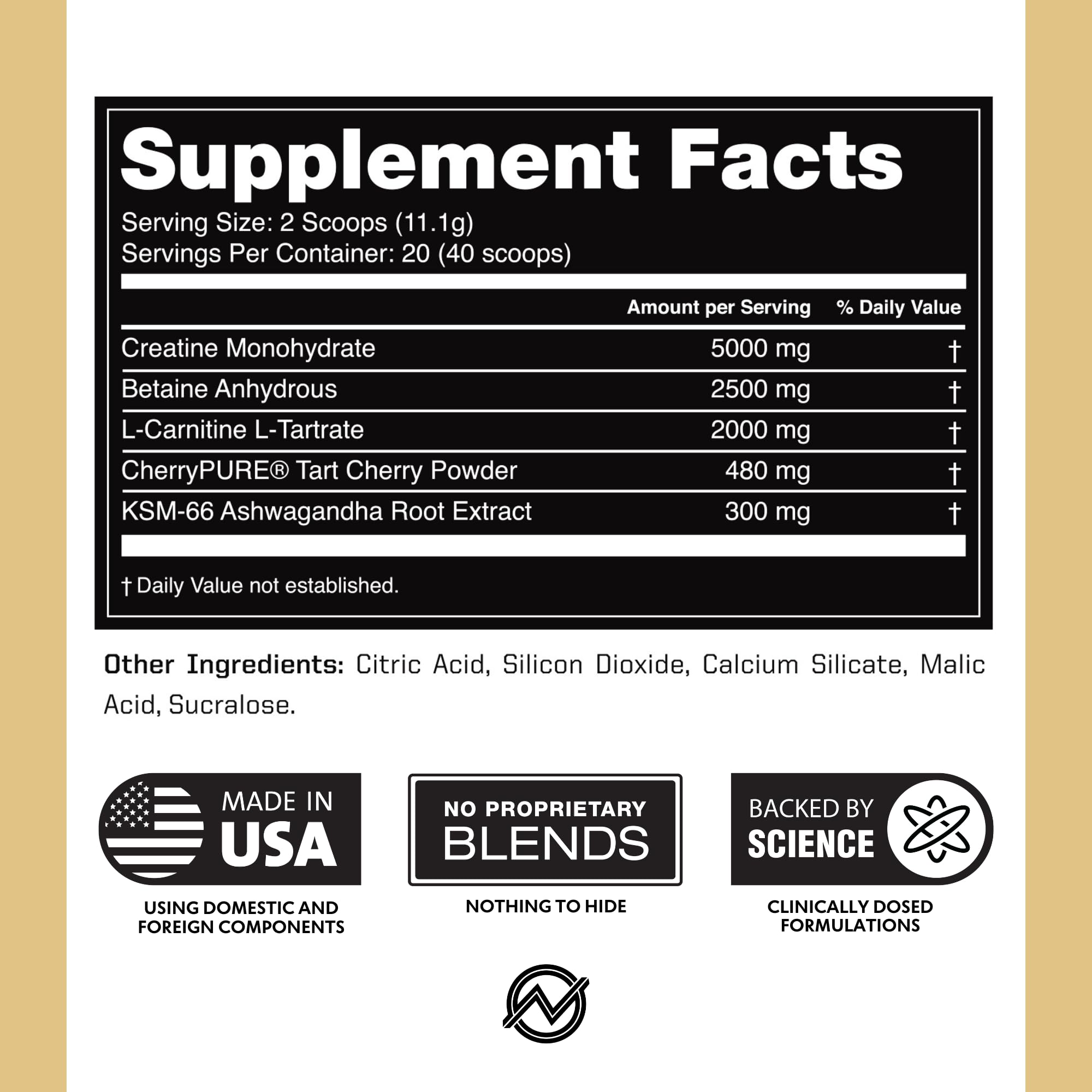 Outwork Nutrition recovery benefits infographic hints at comprehensive muscle recovery.