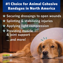 OVIK Health PetFlex No Chew bitterant deterrent deters pet licking