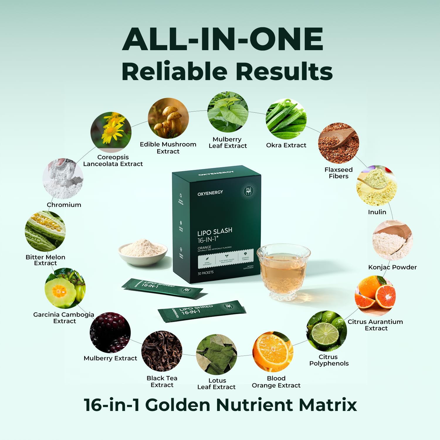 OxyEnergy LIPO Slash plant botanicals visual highlighting natural actives.