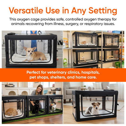 Oxygen cage pets for dogs and cats enables at-home therapy sessions