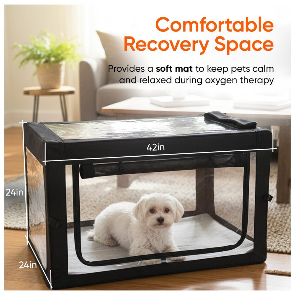 Oxygen cage pets nebulizer compatibility supports aerosolized medications