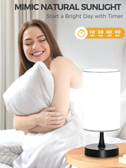 OYADISIIOP minimalist design lamp suits modern interiors