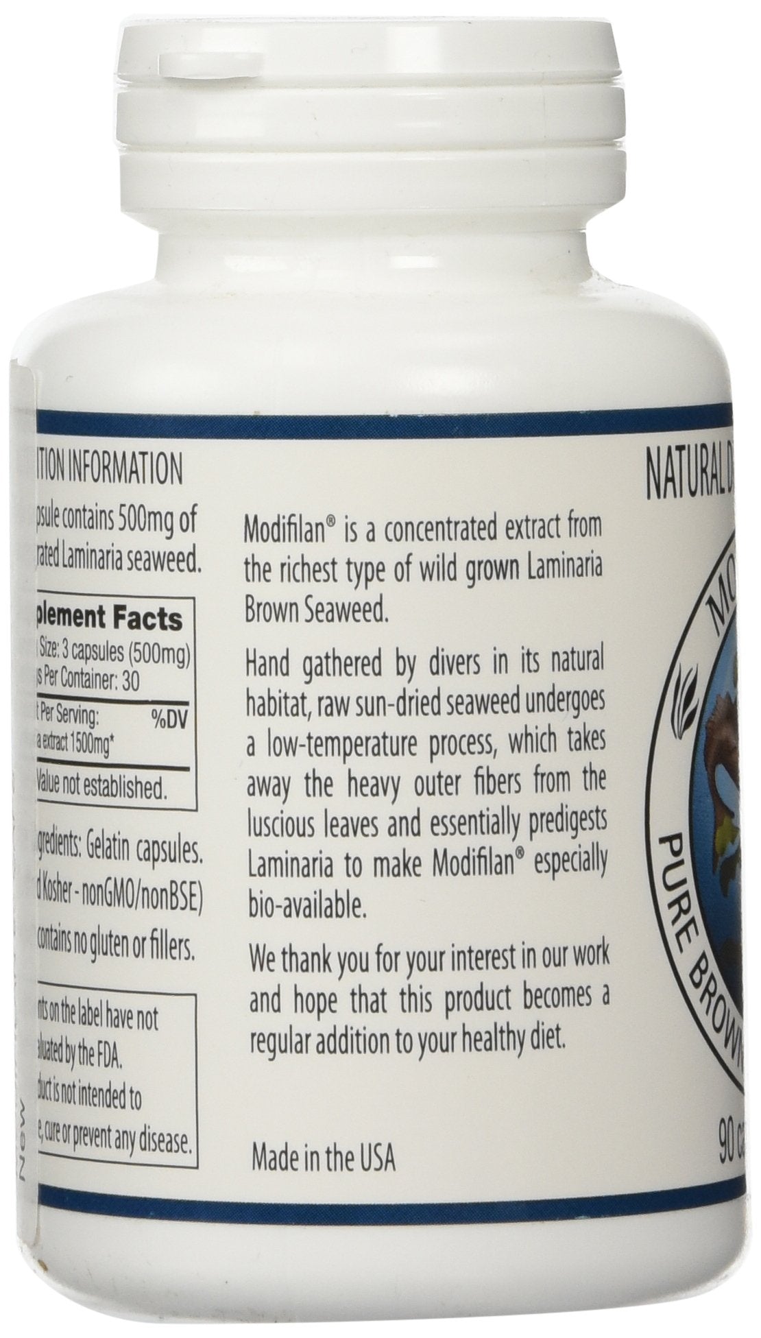 Modifilan harvest scene Laminaria seaweed before processing, showcasing natural whole-food concentrate