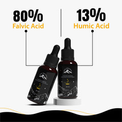 PakShilajit organic gold graded shilajit for daily wellness
