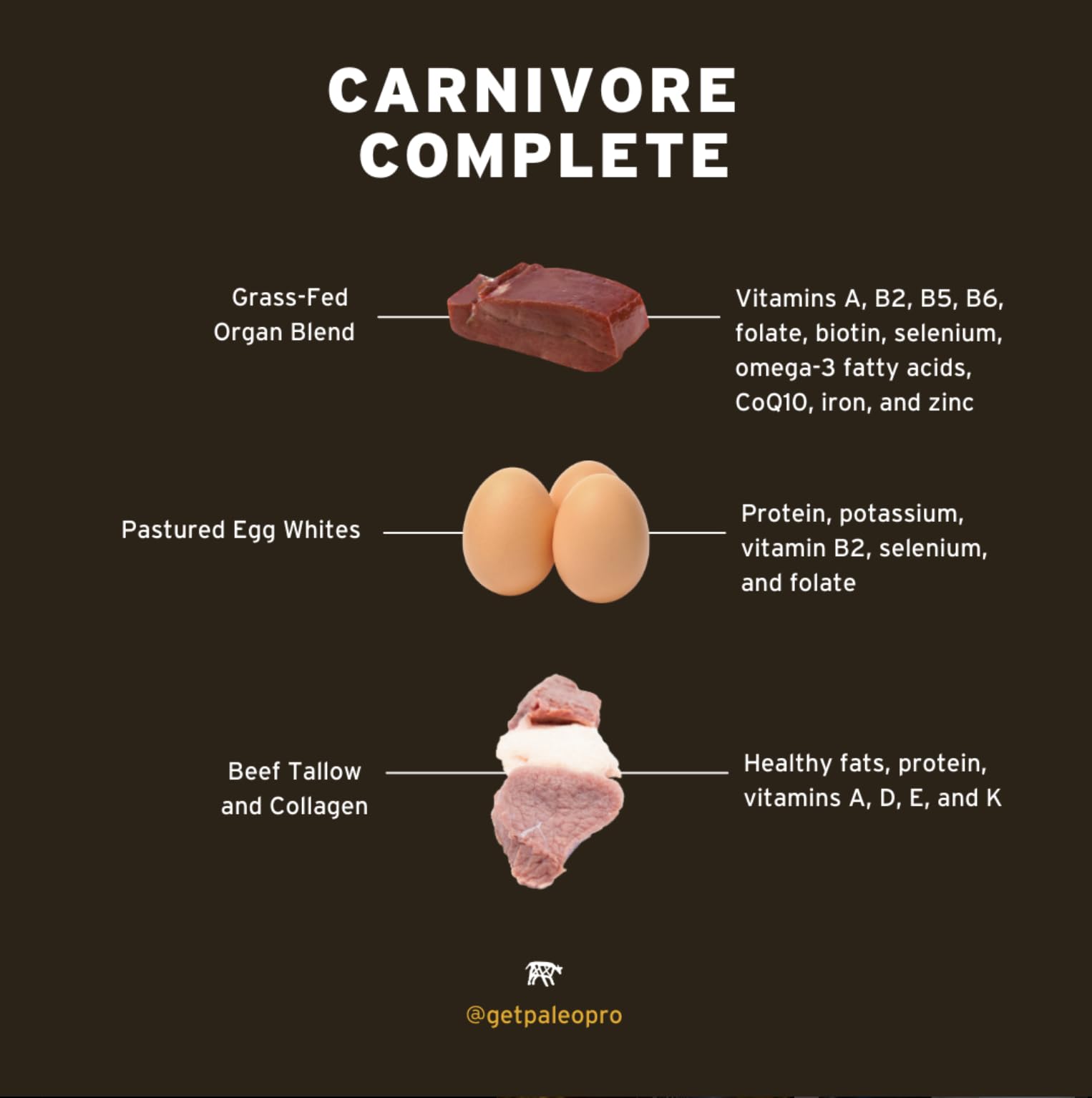 Paleo Pro Carnivore Complete travel-kit option for gym bag nutrition