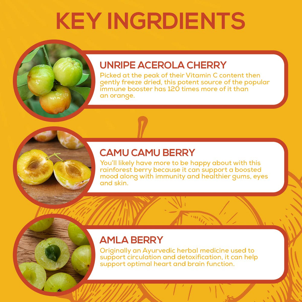 Paleovalley Essential C Complex packaging showcasing clean ingredients and quality