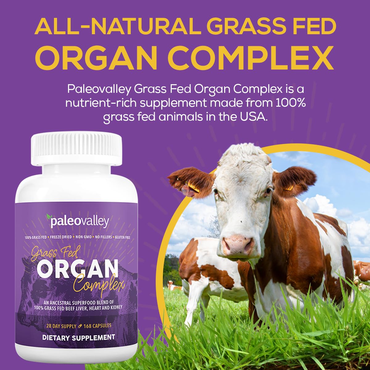 Paleovalley Heart and Kidney focus showcases CoQ10 and selenium support.