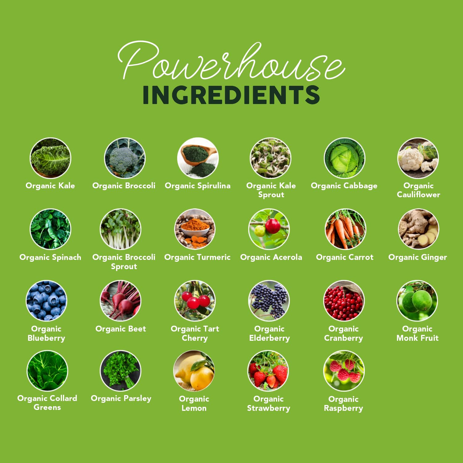Paleovalley Organic Supergreens daily energy boost in tropical flavor
