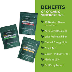 Paleovalley Organic Supergreens with prebiotic fiber scoop supports gut-friendly nourishment