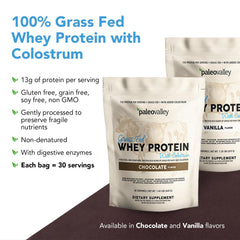 Paleovalley whey powder pour illustrating smooth shake preparation