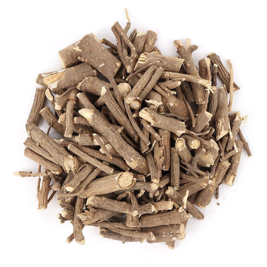 Closeup of PALPLUS Eleuthero root powder emphasizing purity and earthy aroma