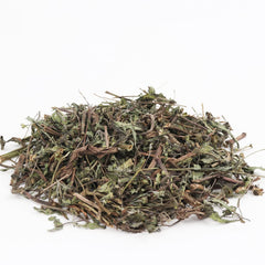PALPLUS freshness sealed pack protects aroma and quality.